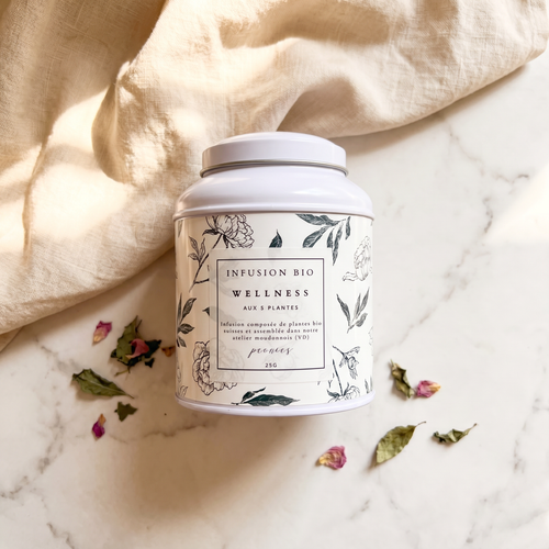 Infusion Wellness 25g